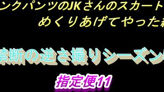 ピンクパンツのJKさんのスカートをめくってやった編　禁断の逆さ撮りシーズン5　指定便11 voyeur jp