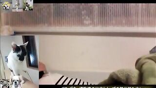 期間限定 可愛い 個人撮影 中出し  jav 3 (5)