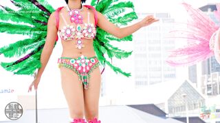 Performance 223-225 voyeur jp 2 (2)