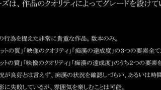 真・ 玄人痴漢 ﾌｧｲﾙ 029-031（Ｂ級） voyeur jp 1