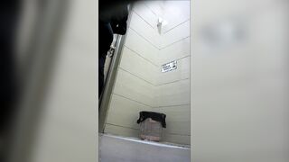 無修正　 【公衆トイレスペシャル】期間限定特別価格★熟女ＯＬ４０名以上収録 voyeur jp 2