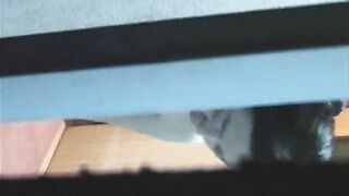 通りすがりに窓から覗き見01-06 voyeur jp 6