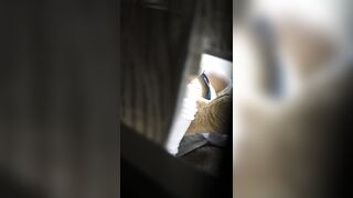 スライム乳の女子大生 。あまりに大胆な姿に困惑してしまいます voyeur jp 4