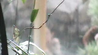 スーパー銭湯☆お風呂の洗い場♥職場の同僚＆綺麗な熟女♥ そそる大量全裸大集合 15, 16, 17 voyeur jp 2 (2)