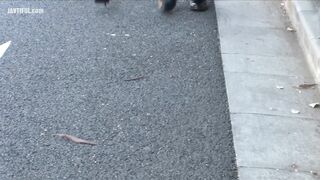 OGPP-006 Father-in-law, my pussy is aching so much Kaori Saejima Reducing Mosaic JAV