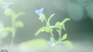 MFYD-110 Big newcomer Reina Dan (35 years old, married woman) AV debut Reducing Mosaic JAV