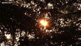 JUL-381 Sex with my boss's wife, who unconsciously provokes me, wearing her voluptuous, tight clothes. A fetish for clothes that is even more obscene ... Reducing Mosaic JAV