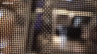 300MIUM-1338 A full-time housewife has a secret affair using her husband's hard earned money lol. She is fascinated by a hard cock she hasn't seen in ... Censored