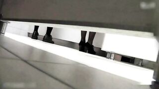 プレミアム美盗トイレ vol.2　大開脚で拭き拭きむすめ・パ○パン超絶美女など　全６名収録 voyeur jp 2