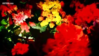 PGD-345 El Dorado ~Pissing, Squirting Fountain~ Reducing Mosaic JAV