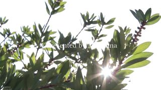 JUR-616 A noble married woman, Maki, who is a psychological counselor, is attacked by a psychopathic man who is violently raped and creampied. Maki Ho... Reducing Mosaic JAV