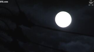 VEC-764 My Sexually Frustrated Wife Asked Her Mom Friends About a Sex Proxy Service and Secretly Called It No More, No More, I'm Coming Ririka Tsukish... Censored