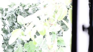 VEO-084 Genuine Amateur Wife AV Debut!! This Beautiful Five-Star Hotel Receptionist Undresses and Reveals Her Plump, Sexy Nipples Kaori Mizuki Censored