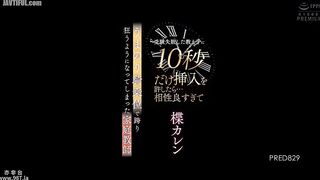 PRED-829 A tutor who failed her student's exams and allowed him to insert for just 10 seconds... They were so compatible that she ended up riding him ... Reducing Mosaic JAV