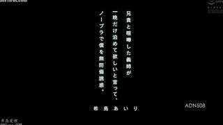 ADN-508 My Stepsister Had a Fight with My Brother and Asked Me to Stay the Night, Then She Tempted Me Without a Bra Reducing Mosaic JAV