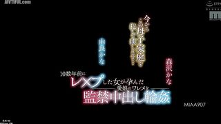 MIAA-907 I'm going to violate and destroy this single-parent family... I raped a woman a decade ago and now her daughter is pregnant, and I'm confinin... Reducing Mosaic JAV