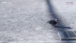 FTHTD-098 Shoplifting Sexual Punishment Deep Throat Oral Power Harassment Skewering PtoM! 24-Hour Sexual Service Part-Timer Pussy Girl Gets Pregnant C... Reducing Mosaic JAV