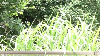 JUL-971 The sweaty married woman's overwhelming hip movements made me cum inside her without even moving my hips once. Komatsu An Censored